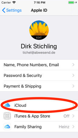 iOS settings iCloud