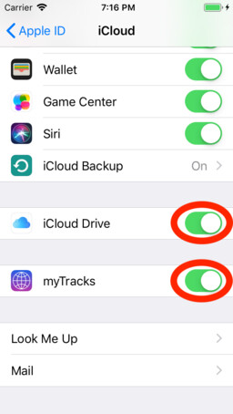 iOS settings iCloud Drive
