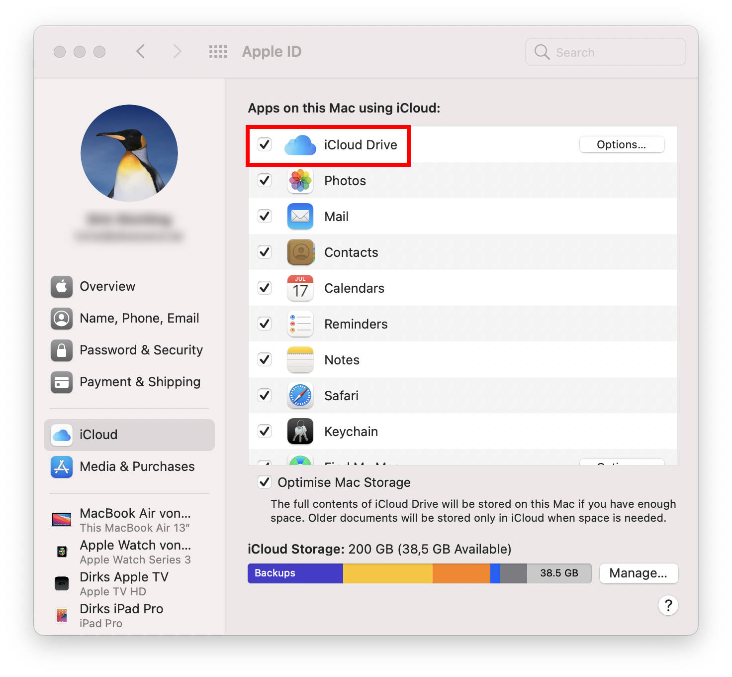 iCloud System Preferences Mac